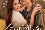 短剧《今日宜复婚》63集短剧1080P高清在线速看