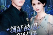 短剧《领证被甩，我转身闪婚女总裁》80集短剧免费解锁全集观看