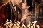 短剧《辞辞入怀》64集短剧高清全集在线一键看