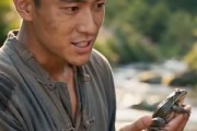 短剧《重返70独扛寒门十兄妹》63集短剧在线解锁全集精彩呈现