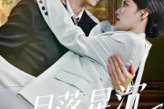 短剧《月落星沉两心知》40集短剧1080P在线免费赏