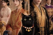 短剧《我捡的黑猫竟是当朝帝王》63集短剧免费在线看完整大结局
