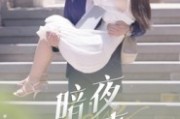 短剧《暗夜情事》100集短剧高清无删减版免费看