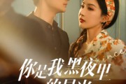 短剧《你是我黑夜里的星光》80集短剧1080P高清画质在线畅看