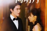 短剧《我本将心向明月》74集短剧超清无删减全集观