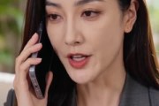 短剧《上司侵占弟弟车辆我依法维权》35集短剧完整剧情在线免费赏