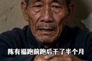短剧《有福照亮归途》37集短剧全集免费在线追剧