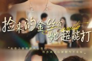 短剧《和小娇夫领证后夫人她不装了》65集短剧高清完整版免费看