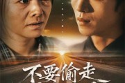 短剧《不要偷走我的儿子》33集短剧1080P在线免费看全集