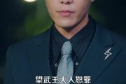 短剧《武王》81集短剧超清画质免费直看