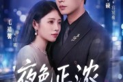 短剧《夜色正浓》65集短剧全集在线免费高清看
