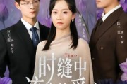 短剧《时缝中流走的爱意》71集短剧全剧集在线免费追