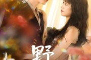 短剧《野焰》60集短剧蓝光画质无广告观看