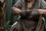 短剧《福妻撑起家》41集短剧1080P在线免费观影