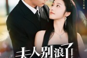 短剧《夫人别浪了！你老公他破产了》61集短剧蓝光画质一键观看