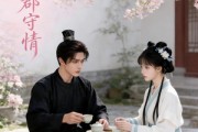 短剧《江州月，郡守情》45集短剧无删减在线观看