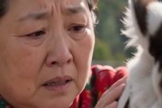 短剧《东北虎王是个磕巴》34集短剧在线观看直达大结局