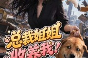 短剧《总裁姐姐收养我！我是好狗狗》61集短剧高清全集免费观影