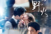 短剧《夏吻野火》80集短剧完整高清免费在线赏