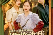 短剧《杨老太重生家属院，谁敢动我儿媳妇》85集短剧蓝光画质无广告观看