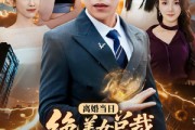 短剧《离婚当日，绝美女总裁求我娶她》81集短剧1080P在线免费追全集