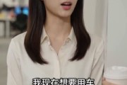 短剧《借出去的信任收不回的车》68集短剧超清画质在线追剧