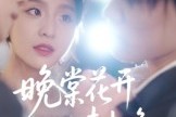 短剧《晚棠花开情未晚》30集短剧高清无删减版免费观看