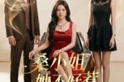 短剧《桑小姐她不好惹》103集短剧在线观看全集无广告