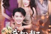 短剧《我都入赘了老婆宠我很合理吧》69集短剧无删减版免费观看