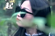 短剧《风禾尽起》31集短剧无广告高清全集观看
