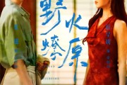 短剧《野火燎原》72集短剧免费在线观看大结局