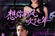 短剧《想你的风吹了七年》82集短剧免费在线看完整剧情