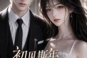 短剧《初见斯年，风月皆沉》45集短剧1080P高清免费在线观