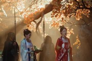 短剧《青鸟衔恨生》61集短剧全集高清无删减观看