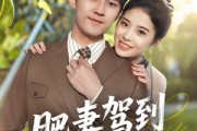 短剧《肥妻驾到接招吧老公》70集短剧高清流畅在线观看