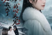短剧《和离后，我成了王爷的心尖宠》78集短剧在线免费看大结局