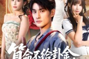 短剧《算命不给卦金，神仙难救》80集短剧在线免费看全集