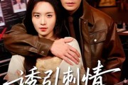 短剧《诱引刺情》60集短剧完整版免费畅享观看