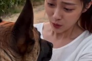 短剧《忠犬闪电之都市守护神》14集短剧免费观看完整版资源