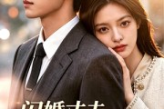 短剧《闪婚丈夫开飞机带我上班》103集短剧高清在线一口气看完
