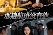 短剧《那趟航班没有他》37集短剧免费在线观看大结局
