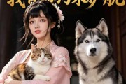 短剧《穿成宫女又何妨，我有猫狗来护航》63集短剧高清在线免费看个够