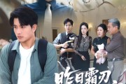短剧《昨日霜刃今亦寒》80集短剧超清无卡顿免费观看