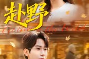 短剧《赴野》40集短剧在线解锁全集精彩不停