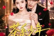 短剧《茶系少年奔赴真爱》83集短剧高清完整版免费观看