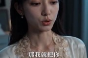 短剧《五一借车给同事，她开我宝马跑滴滴》60集短剧免费在线看全集
