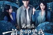 短剧《离婚后，前妻仰望我扶摇直上》84集短剧完整全集在线观看