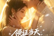 短剧《领证当天，捡了个老公回家》80集短剧超清画质在线观看