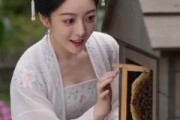 短剧《王妃休夫记》41集短剧全集在线高清播放