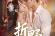 短剧《折野》80集短剧超清全集在线免费赏
